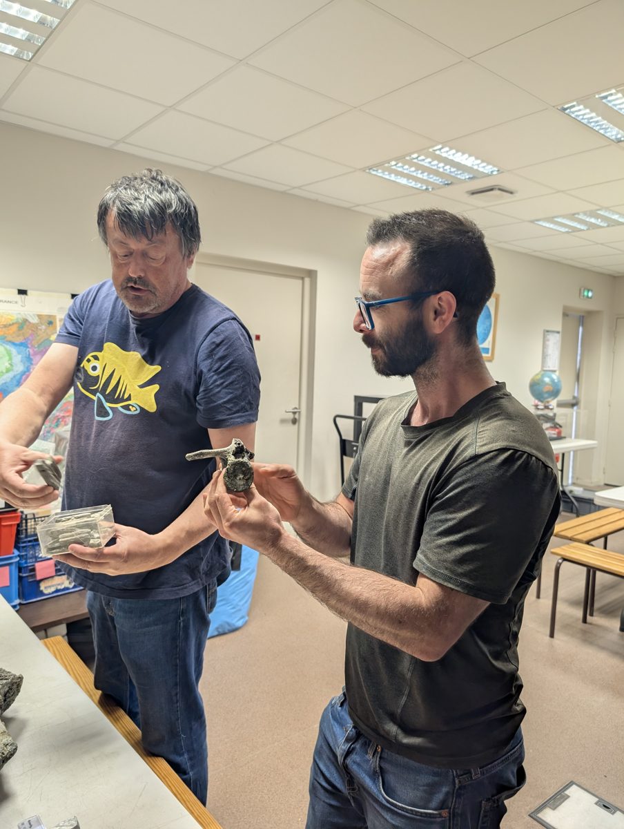 Examen d'un fossile avec les paléontologues