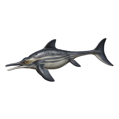 Ichthyosaure, reconstitution