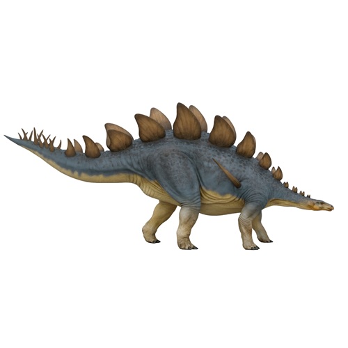 Lexovisaurus, reconstitution