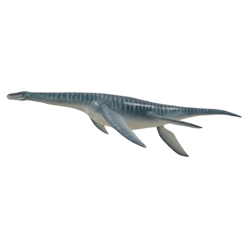 Plésiosaure, reconstitution