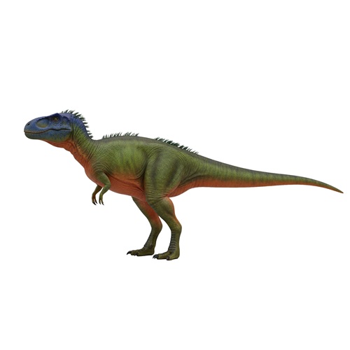 Streptospondylus, reconstitution